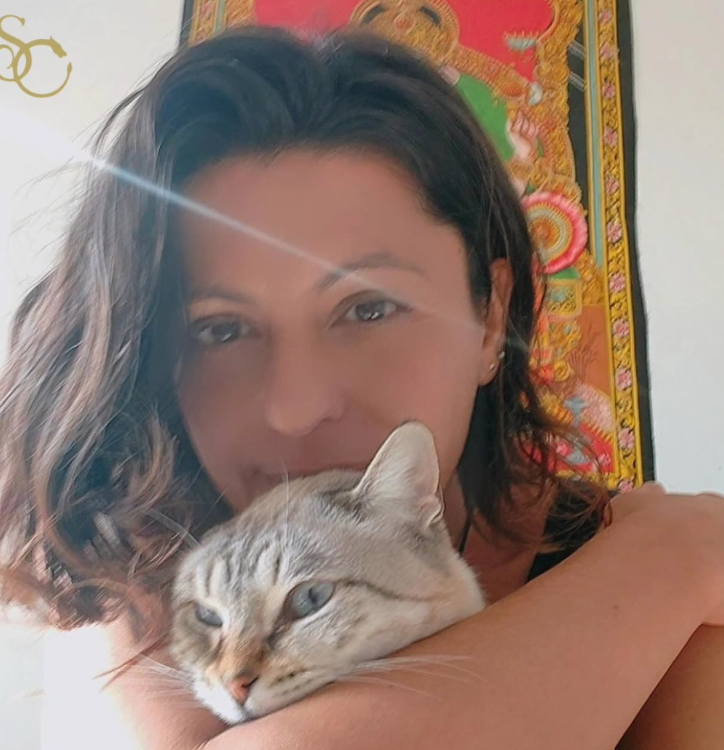 O meu animal mudou de comportamento — pode ser emocional?