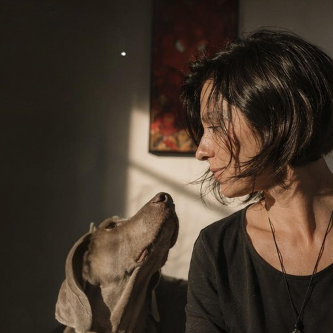 Quando o animal adoece e não há explicação clínica — o que pode estar por detrás