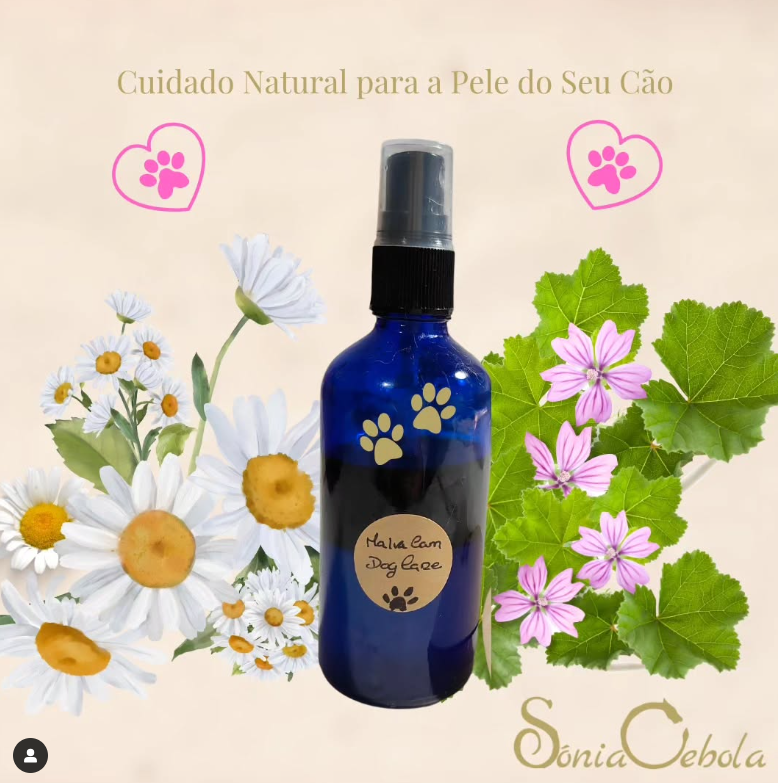 MalvaCam Dog Care